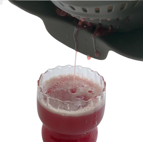Passorix - Strainer for food processor